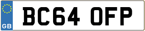 Trailer License Plate